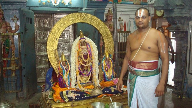 Kanchi Sri Devaperumal Temple Pavithrotsavam day 6 2014 01