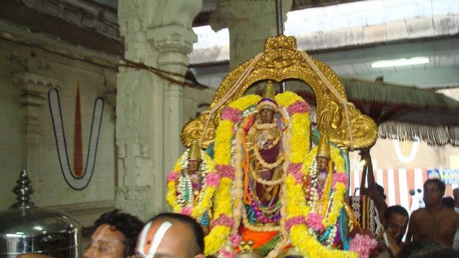 Kanchi Sri Devaperumal Temple Pavithrotsavam day 6 2014 12