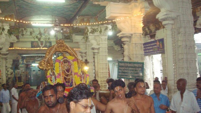 Kanchi Sri Devaperumal Temple Pavithrotsavam day 6 2014 14