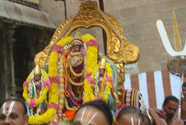 Kanchi Sri Devaperumal Temple Pavithrotsavam day 6 2014 23