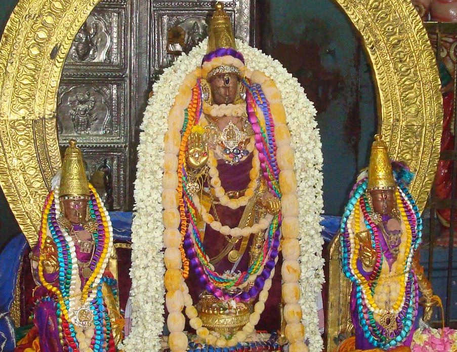 Kanchi Sri Devaperumal temple Pavithrotsavam day 6