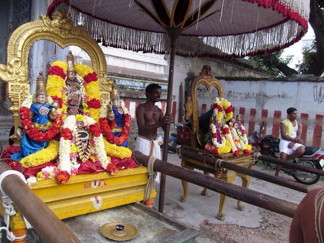 Kanchi Sri Pachai and Pavazhavannar Perumal Temple Uriyadi Utsavam10
