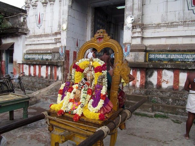 Kanchi Sri Pachai and Pavazhavannar Perumal Temple Uriyadi Utsavam4