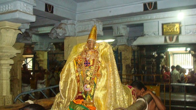Kanchi Sri Perarulalan Jaya sukla Avani Ekadasi Purappadu  2014  01