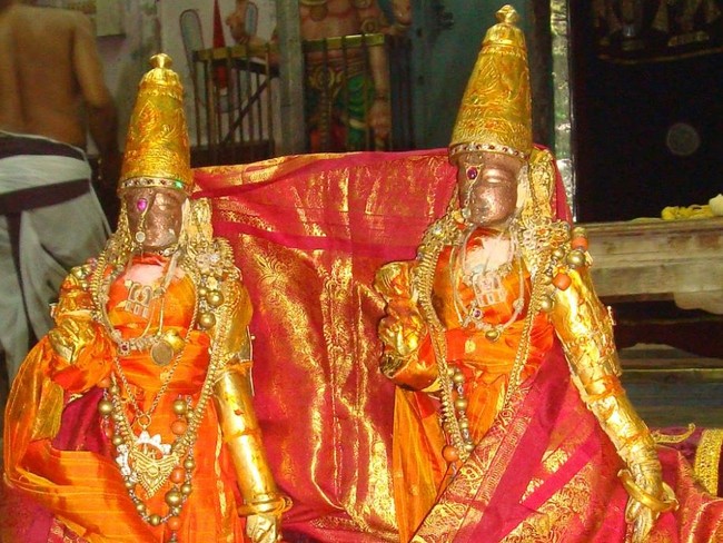 Kanchi Sri Perarulalan Jaya sukla Avani Ekadasi Purappadu  2014  03