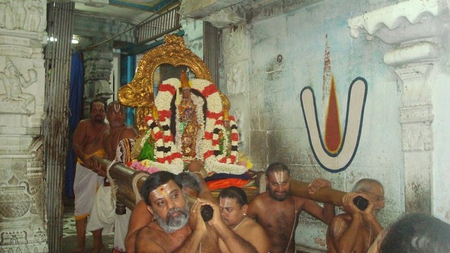 Kanchi Sri Perarulalan Jaya sukla Avani Ekadasi Purappadu  2014  06