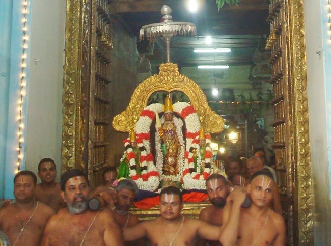 Kanchi Sri Perarulalan Jaya sukla Avani Ekadasi Purappadu  2014  07