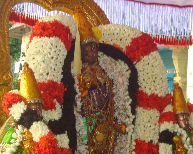 Kanchi Sri Perarulalan Jaya sukla Avani Ekadasi Purappadu  2014  09