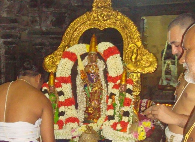 Kanchi Sri Perarulalan Jaya sukla Avani Ekadasi Purappadu  2014  11