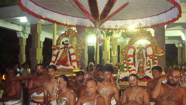 Kanchi Sri Perarulalan Jaya sukla Avani Ekadasi Purappadu  2014  13