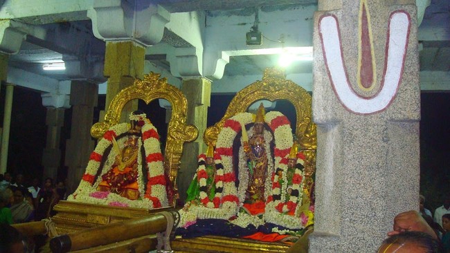 Kanchi Sri Perarulalan Jaya sukla Avani Ekadasi Purappadu  2014  17