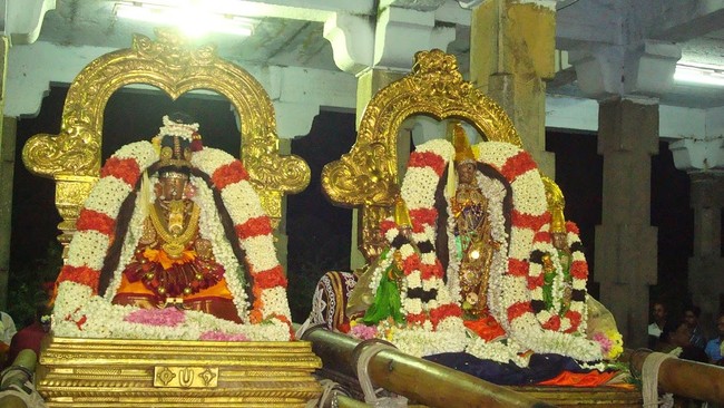 Kanchi Sri Perarulalan Jaya sukla Avani Ekadasi Purappadu  2014  20