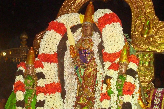 Kanchi Sri Perarulalan Jaya sukla Avani Ekadasi Purappadu  2014  22