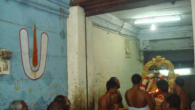 Kanchi Sri Perarulalan Jaya sukla Avani Ekadasi Purappadu  2014  30