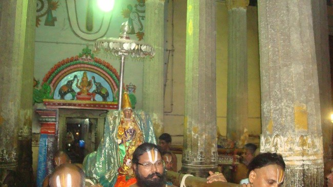 Kanchi Sri Varadaraja Perumal Kovil Pavithrotsavam Adhi vaasam  2014  07