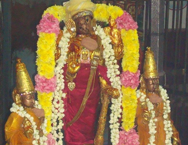 Kanchi Sri Varadaraja Perumal Kovil Pavithrotsavam Adhi vaasam  2014  13