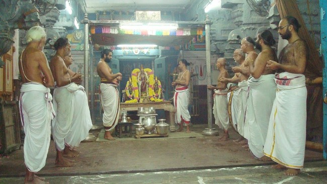 Kanchi Sri Varadaraja Perumal Kovil Pavithrotsavam Adhi vaasam  2014  20