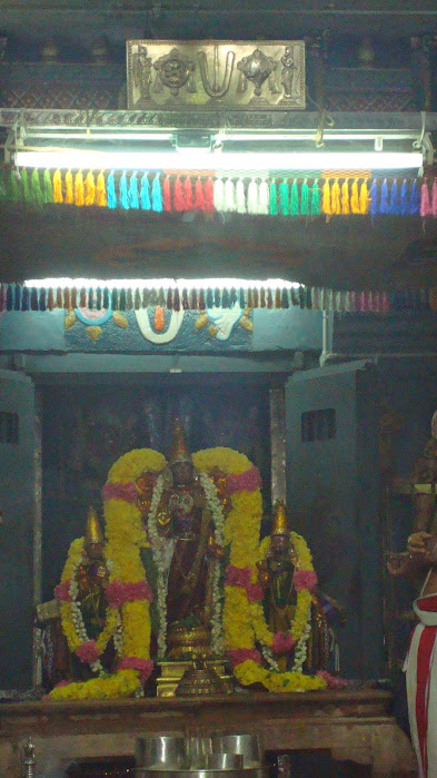Kanchi Sri Varadaraja Perumal Kovil Pavithrotsavam Adhi vaasam  2014  21