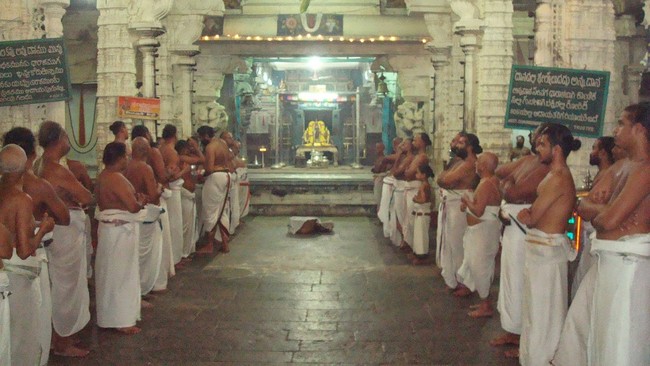 Kanchi Sri Varadaraja Perumal Kovil Pavithrotsavam Adhi vaasam  2014  23