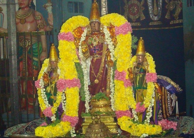 Kanchi Sri Varadaraja Perumal Kovil Pavithrotsavam Adhi vaasam  2014  24