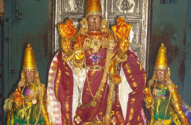 Kanchi Sri Varadaraja Perumal Kovil Pavithrotsavam Adhi vaasam  2014  25