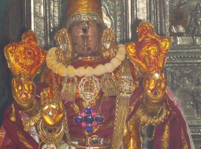 Kanchi Sri Varadaraja Perumal Kovil Pavithrotsavam Adhi vaasam  2014  28