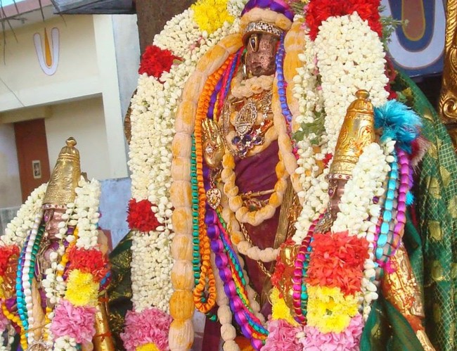 Kanchi Sri Varadaraja Perumal Temple Pavithrotsavam day 2 evening 2014  01