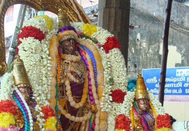 Kanchi Sri Varadaraja Perumal Temple Pavithrotsavam day 2 evening 2014  13