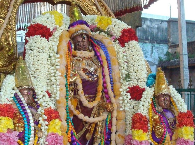Kanchi Sri Varadaraja Perumal Temple Pavithrotsavam day 2 evening 2014  18