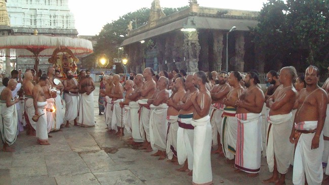 Kanchi Sri Varadaraja Perumal Temple Pavithrotsavam day 2 evening 2014  19