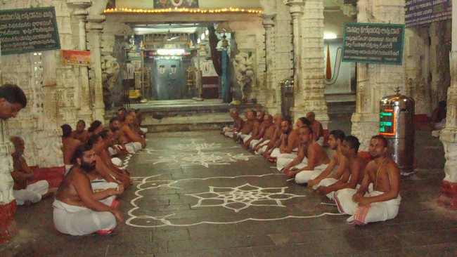Kanchi Sri Varadaraja Perumal Temple Pavithrotsavam day 2 evening 2014  24