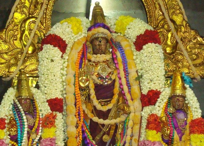 Kanchi Sri Varadaraja Perumal Temple Pavithrotsavam day 2 evening 2014  28
