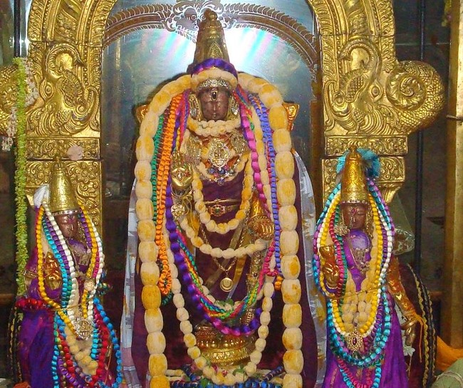 Kanchi Sri Varadaraja Perumal Temple Pavithrotsavam day 2 evening 2014  31