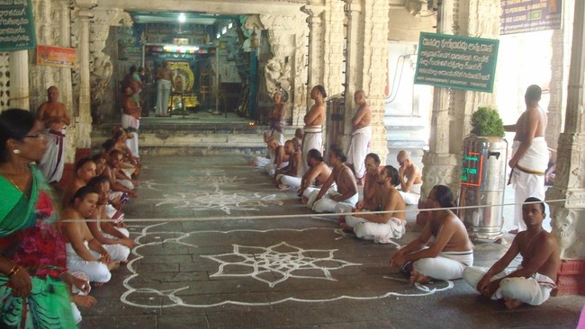 Kanchi Sri Varadaraja Perumal Temple Pavithrotsavam day 3 2014  04