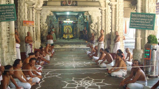 Kanchi Sri Varadaraja Perumal Temple Pavithrotsavam day 3 2014  05