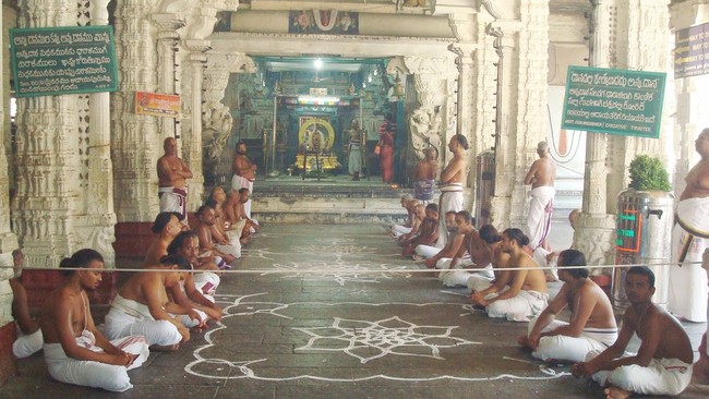 Kanchi Sri Varadaraja Perumal Temple Pavithrotsavam day 3 2014  08