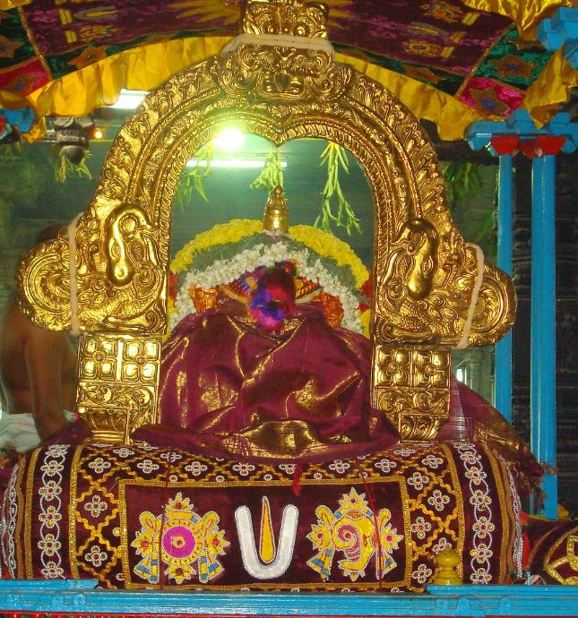 Kanchi Sri Varadaraja Perumal Temple Pavithrotsavam day 3 2014  10