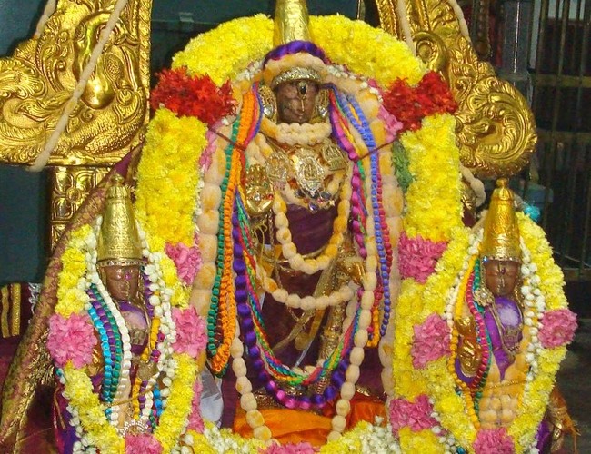 Kanchi Sri Varadaraja Perumal Temple Pavithrotsavam day 3 2014  11