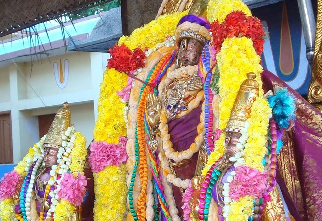 Kanchi Sri Varadaraja Perumal Temple Pavithrotsavam day 3 2014  13