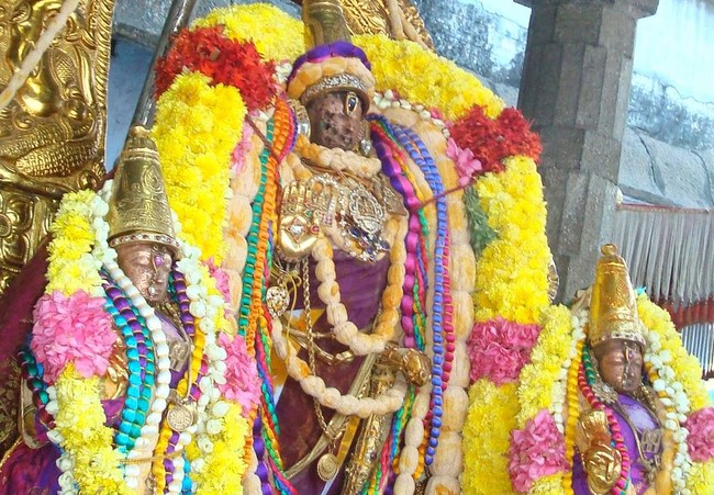 Kanchi Sri Varadaraja Perumal Temple Pavithrotsavam day 3 2014  14