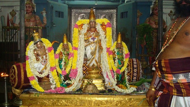 Kanchi Sri Varadaraja Perumal Temple Sri Jayanthi Utsavam   2014 11