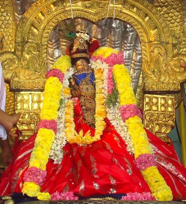 Kanchi Sri Varadaraja Perumal Temple Uriyadi Utsavam  2014--02