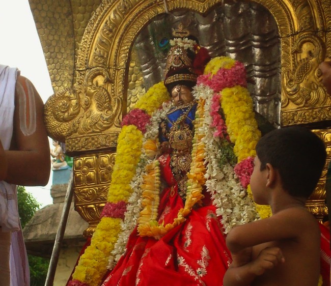 Kanchi Sri Varadaraja Perumal Temple Uriyadi Utsavam  2014--03