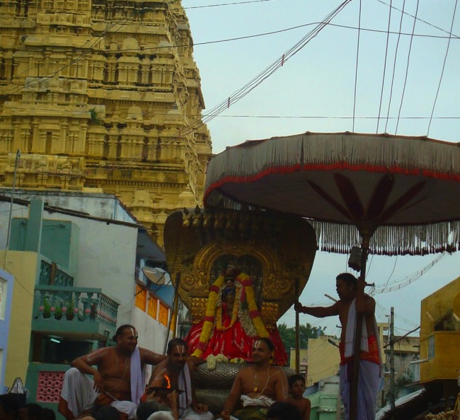 Kanchi Sri Varadaraja Perumal Temple Uriyadi Utsavam  2014--04