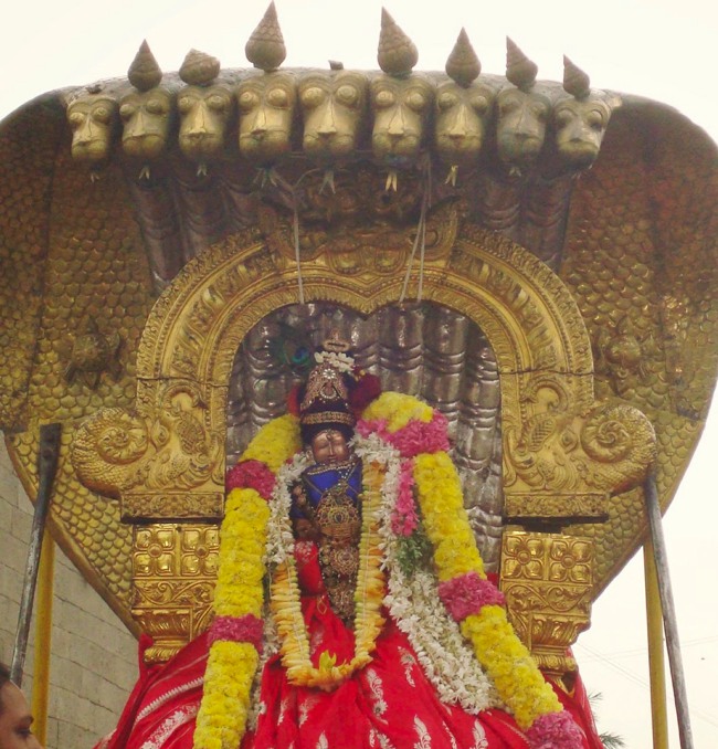 Kanchi Sri Varadaraja Perumal Temple Uriyadi Utsavam  2014--05