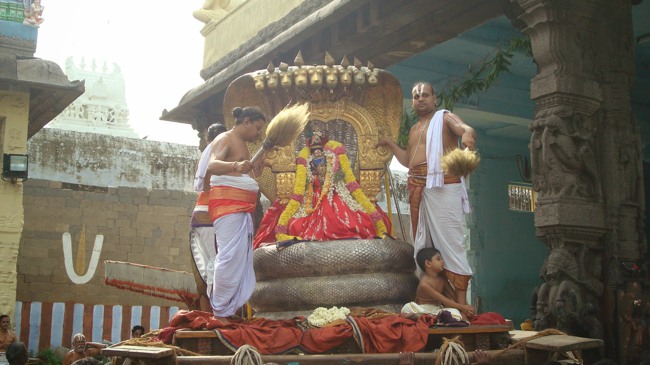 Kanchi Sri Varadaraja Perumal Temple Uriyadi Utsavam  2014--14