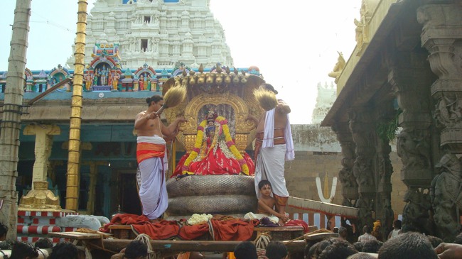 Kanchi Sri Varadaraja Perumal Temple Uriyadi Utsavam  2014--15
