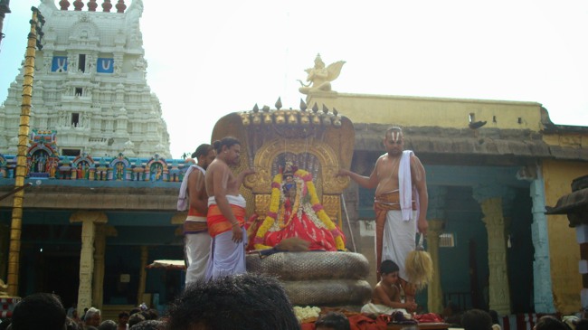 Kanchi Sri Varadaraja Perumal Temple Uriyadi Utsavam  2014--16