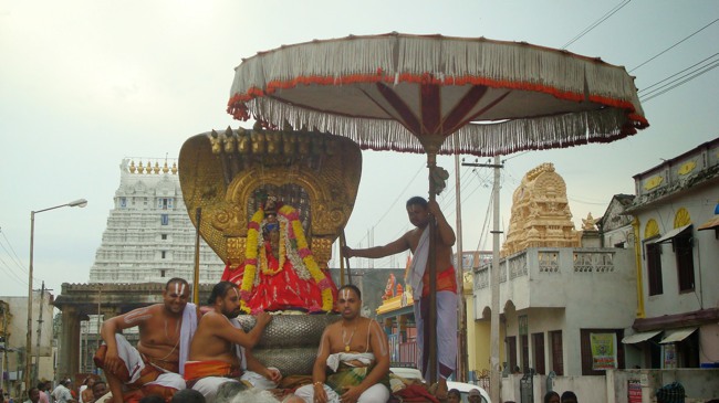 Kanchi Sri Varadaraja Perumal Temple Uriyadi Utsavam  2014--32