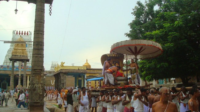Kanchi Sri Varadaraja Perumal Temple Uriyadi Utsavam  2014--36